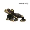 Bronze frog
