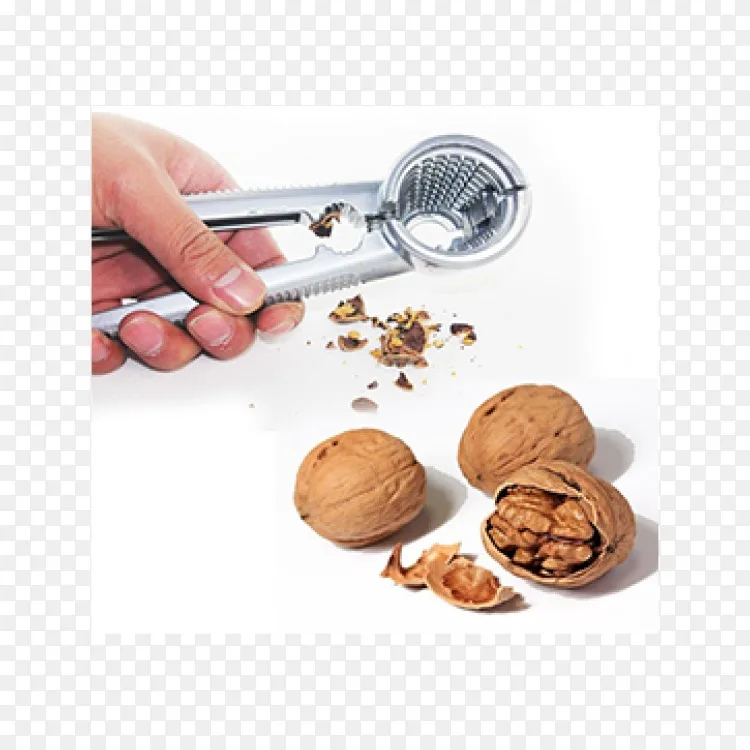 核桃胡桃夹子食品破碎机 坚果饼干png图片素材免费下载 图片编号 Png素材网