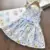 Bear Leader Girl Princess Dress New Summer Kid Girls Dress Цветочные Сладкие Детские Праздничные Костюмы Костюм Бабочки Детская Одежда