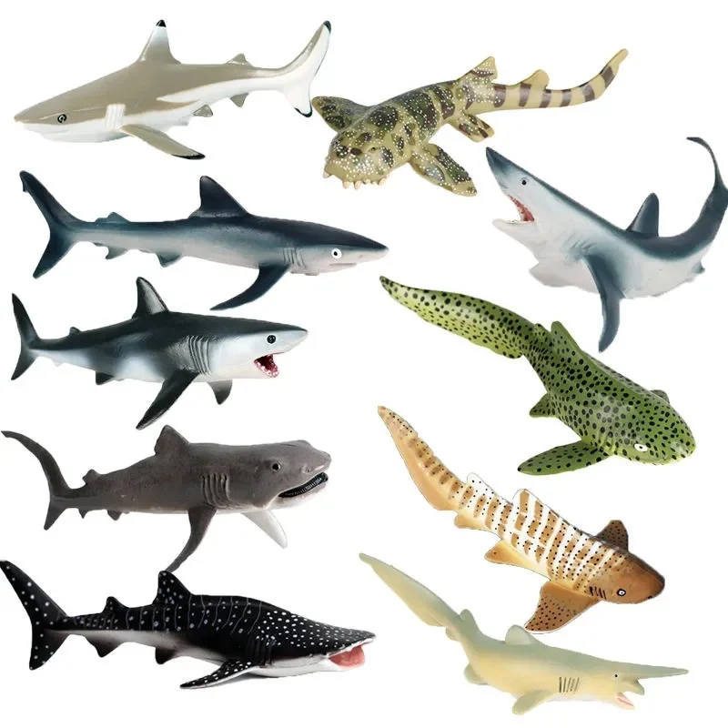 Simulazione Vita Marina Modello Animale Giocattolo Dente Gigante Squalo Assassino Balena Balena Blu Squalo Animale Modello Giocattolo Educativo Ragazz