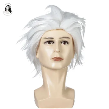 

DNBO Short Hair Wig Silver White Artificial Hair Full Top Wig Men's Cosplay WigA