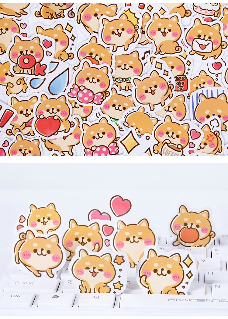 15495262762_505222120