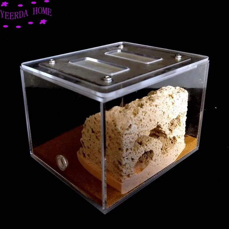 New Model 12*10*8.5cm Natural Water Absorbing Stone Ant Nest Bow-back Ant Nest Ant Castle Villa Workshop