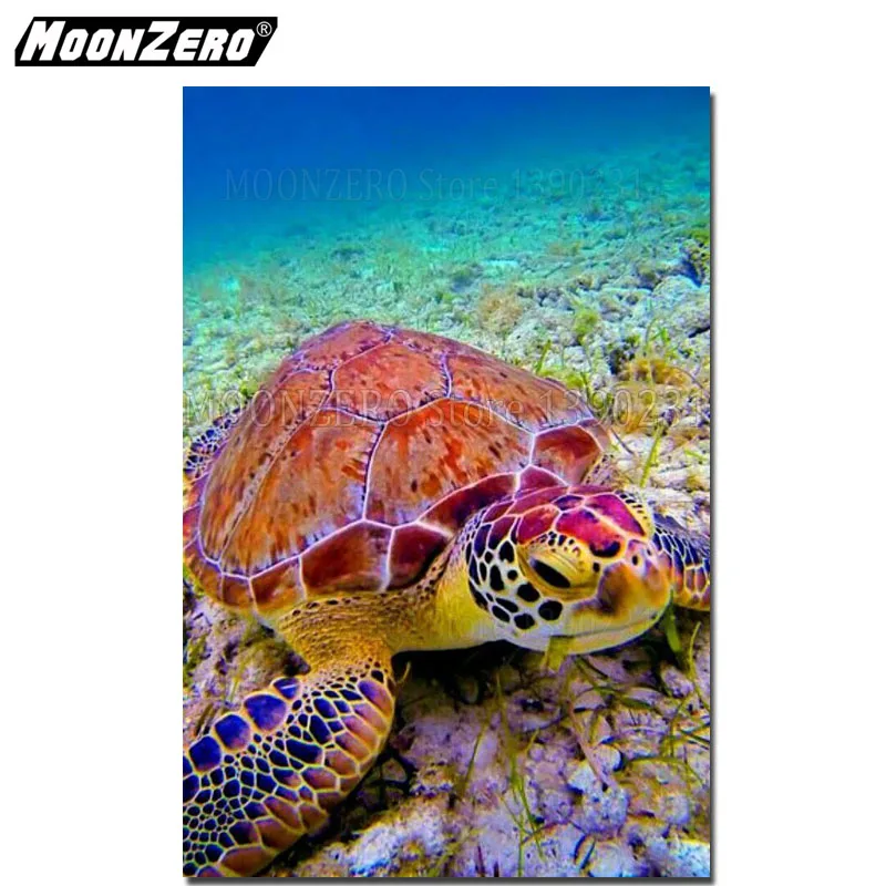 Новый 5D DIY алмазная живопись морская черепаха полный квадрат/круглый Dril вышивка
