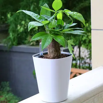 

PP Self Watering Planters Flower Pots Indoor with Water Level Indicators Garden Modern Decorative Planter Pot