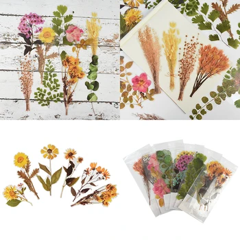 

Retro Green Plant Flower PET Sticker Dried Flowers Palm Leaf Hand Account Stickers DIY Scrapbooking Diary Stationery Decor Label