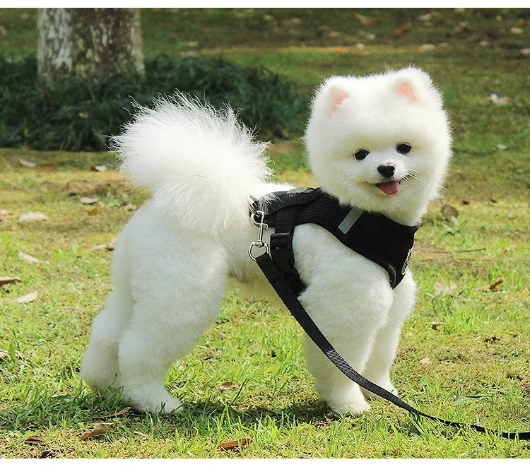 14423024450_609020808