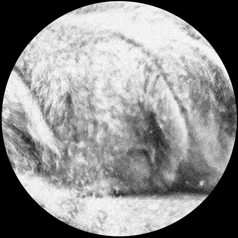 Custom-Photo-Wallpaper-Mural-Black-and-White-Animal-Lion-Papier-Peint-Mural-3D-Living-Room-Sofa (4)