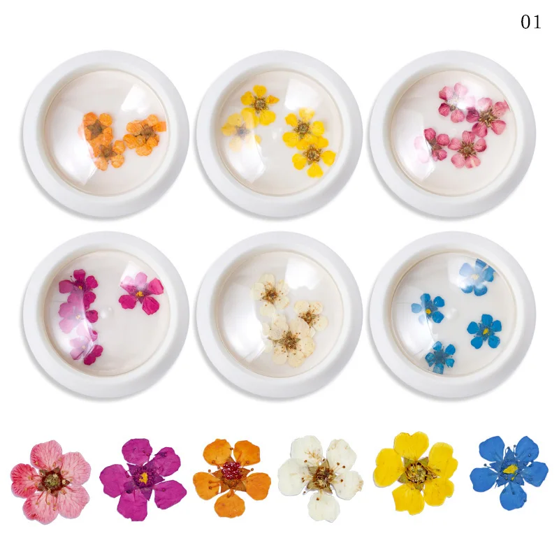 CYSHMILY 6 коробок/набор микс сушеные цветы украшения для ногтей натуральный Цветочный Лист наклейки Дизайн ногтей Полировка маникюрные аксессуары