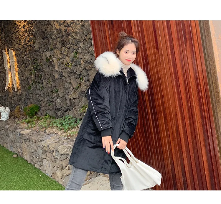  pleuche cotton1_25.jpg