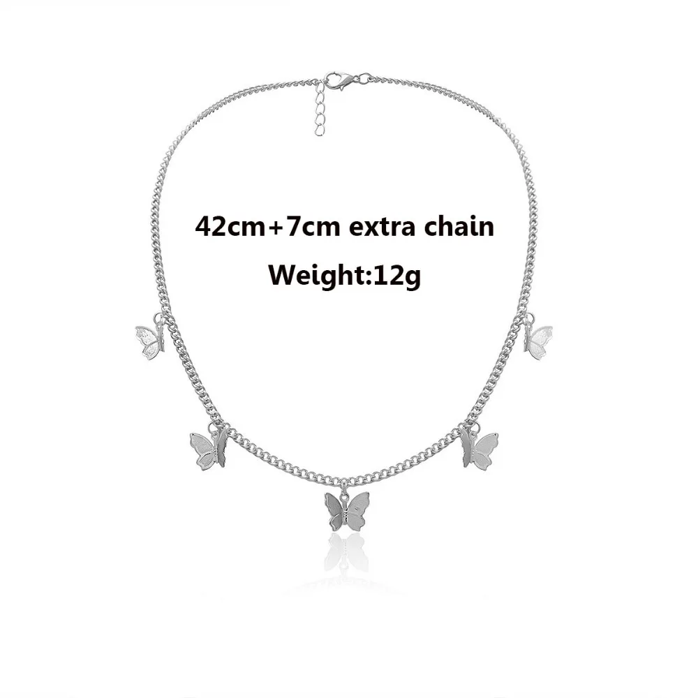 13826055353_391074988s