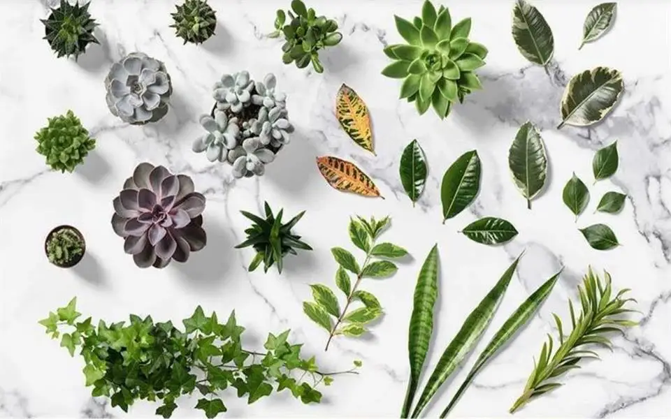 360截图20190806170410502