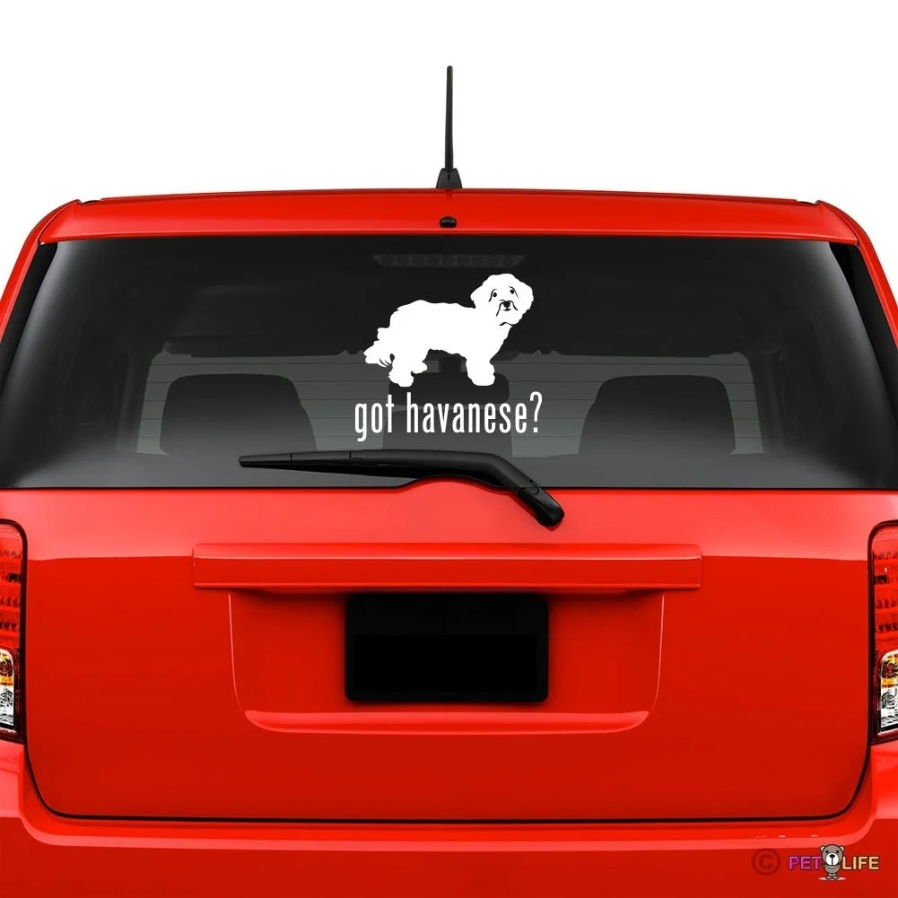 Got Havanese стикер для лобового стекла виниловые авто окна бланкито v2 наклейки на окна