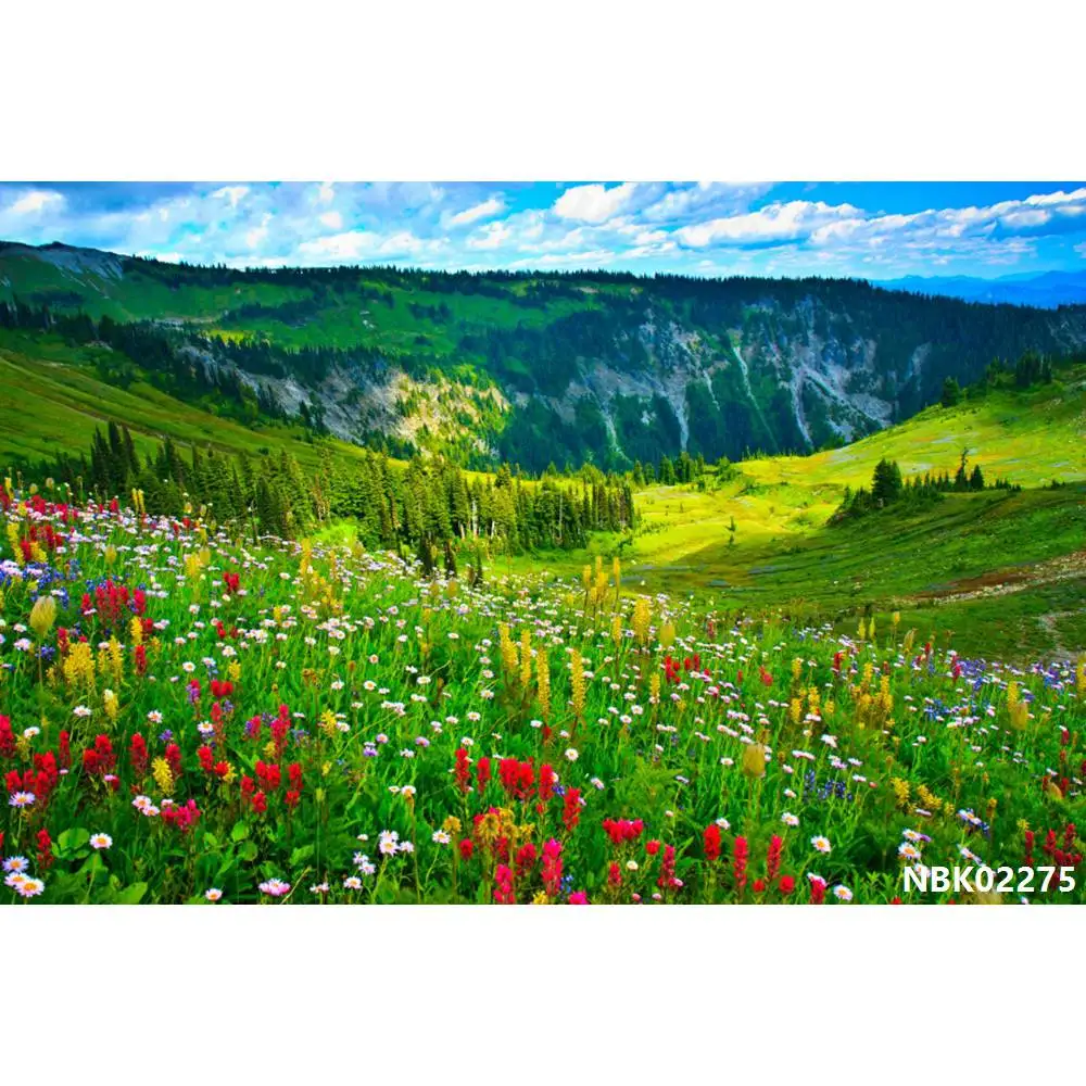thumbnail image 1 of Fondos de fotografía de paisajes naturales con cielo azul, nubes blancas, montañas, árboles y ríos para bebés, 1 of 5