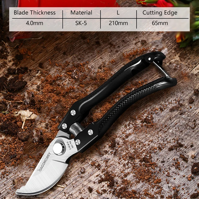 DTBD Plant Trim Horticulture Pruner Cut Secateur Shrub Garden Scissor Tool Branch Shear Orchard Pruning Shears Folding Saw Set Black Sale