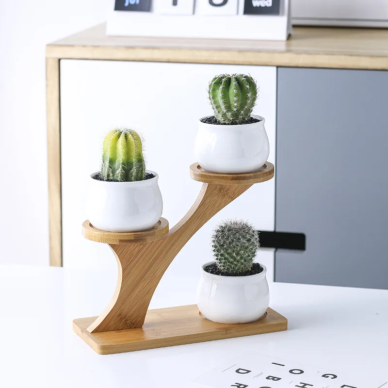 Plant Shelves Flower Display Stand Creative Succulent Plant Owl Pumpkin Bamboo Frame Ceramic Flowerpot Tray