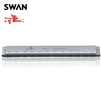 

Swan Harmonica SW24HX 24 Sets Chord In Gift Box Accompaniment Musical Instrument Woodwind 24 Groups Orchestral Harmonica Harps
