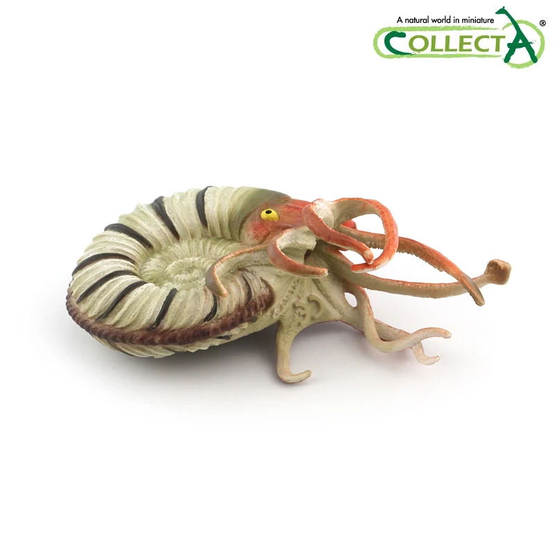 2020 Collecta Dinosaur Toy Figure Pleuroceras Ammonite for sale online 