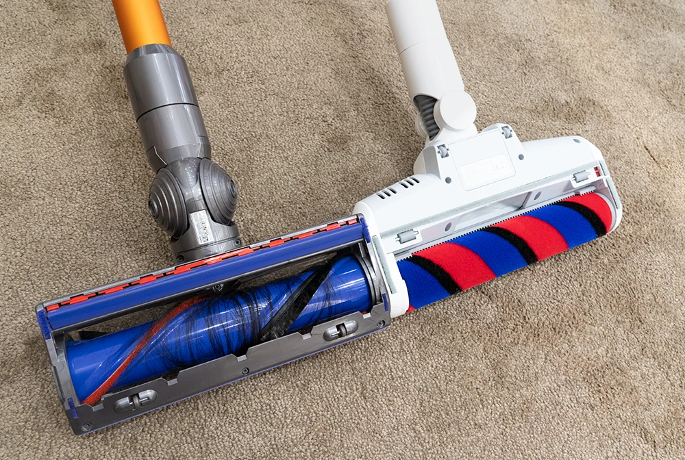 Hair Cleaning on Carpet