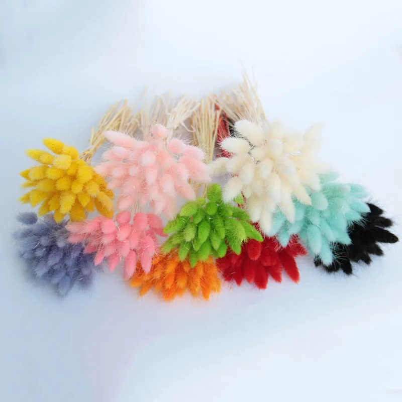20pcs-natural-dried-flower-lagurus-artificial-flower-multicolor-fake-rabbit-tail-grass-ovatus-foxtail-bouquet-for(1)