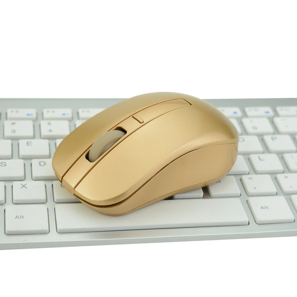 Mute 2.4GHz Wireless 1000DPI 2 Keys Optical Mouse USB Receiver for PC Laptop