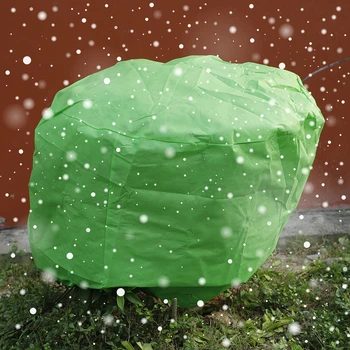 

Protective Grow Bag Anti Bird Plant Protective Bag Drawstring Nylon Mesh Agricultural Pest Control for Fruit Vegetable tree fl