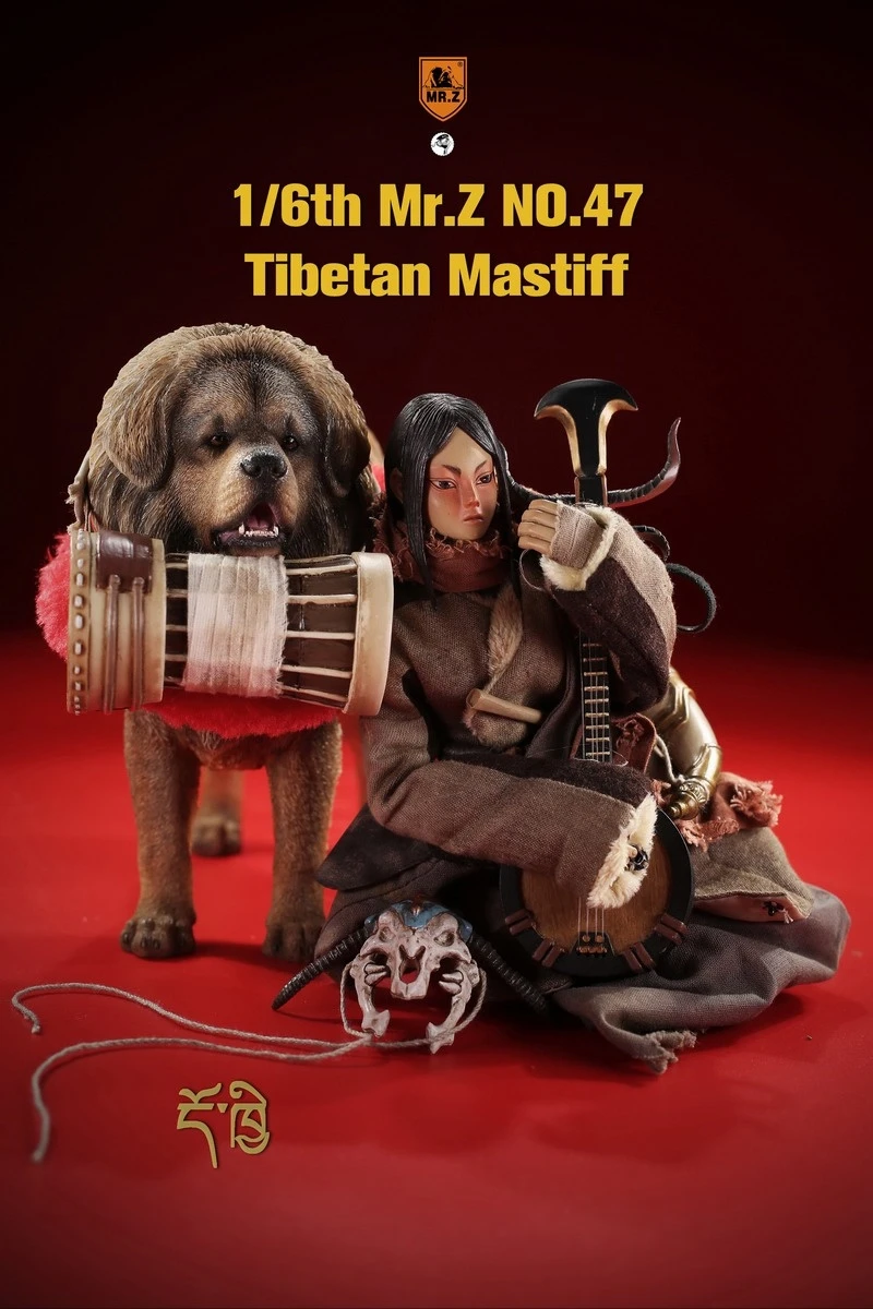 O1CN013ZJaBk1bQiz6tOF4i_!!3230463460