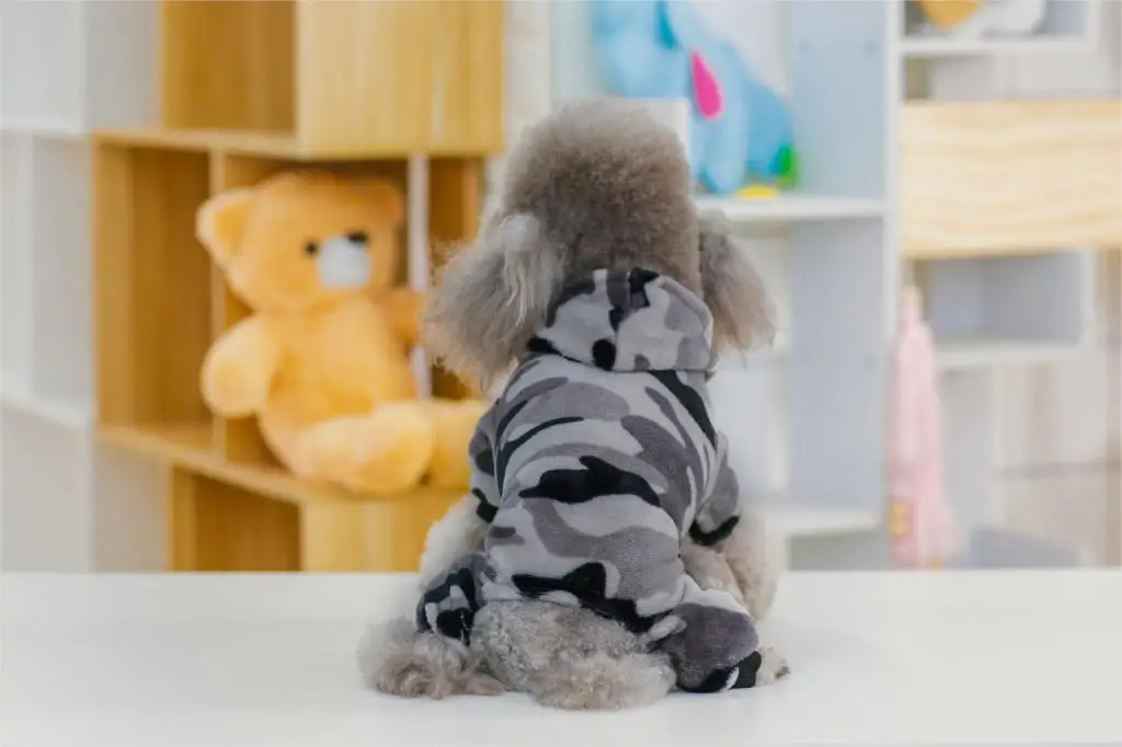 Зимнее домашнее животное Чихуахуа костюм куртка для собаки Теплый Щенок Одежда для собак куртка для питомца Йоркская одежда Домашние животные жилет S-XXL