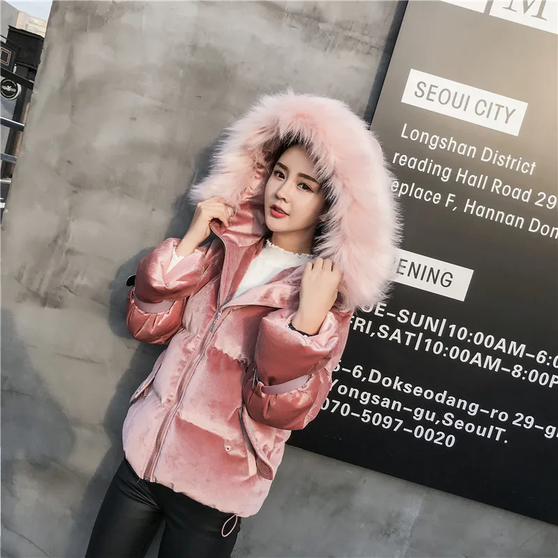 Photo Shoot Winter New Style Korean-style Short Hooded Large Fur Collar down Feather Cotton-padded Clothes WOMEN'S Dress Thick d
