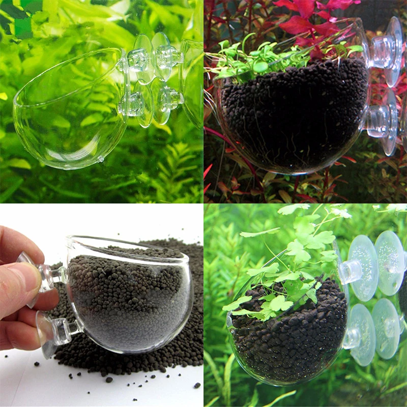 

1Pack Aquatic Plant Glass Cup Pot for Aquarium Fish Tank Aquascaping Crystal Cup Holder