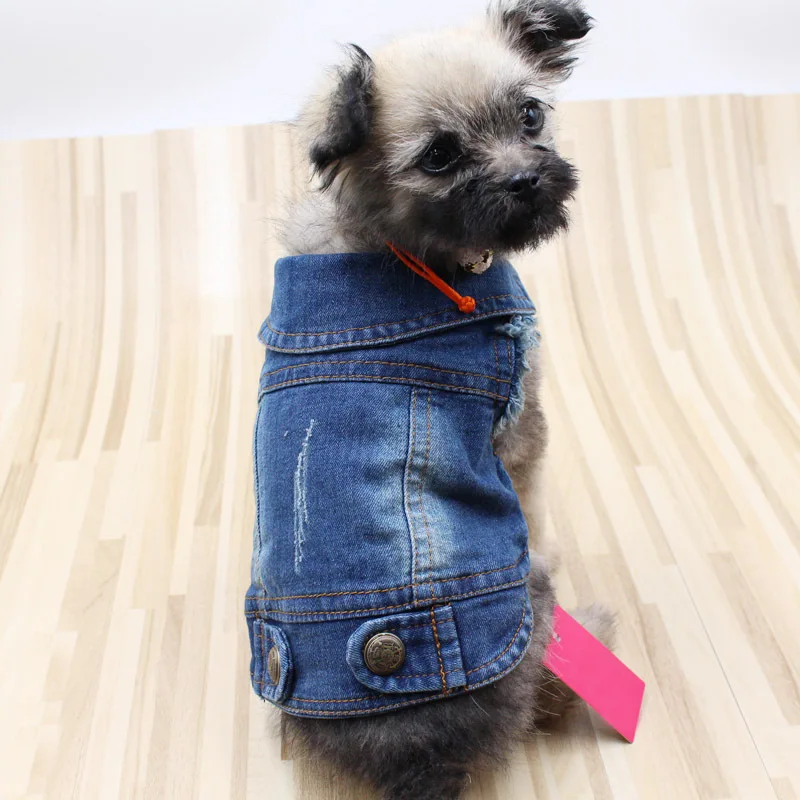 Одежда для собак Teddy VIP Bichon, джинсовый жилет в стиле ретро, крутая жилетка, одежда для домашних животных на весну и осень