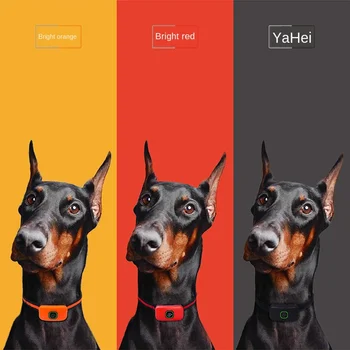 

2019 Dog Trainer Remote Control Dog Trainer Dog Trainer Barking Stopper Dog Barking Prevention Barking Stopper Electric Shock