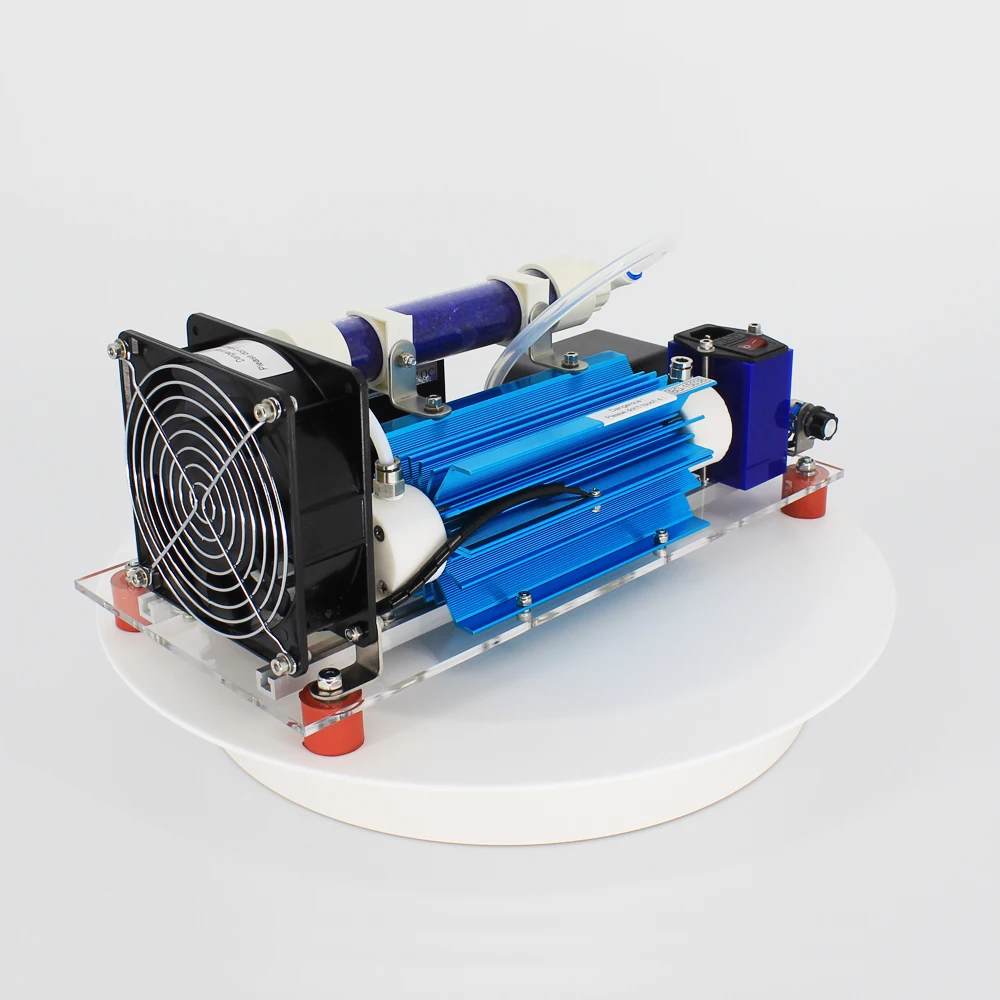 Pinus longaeva F1 0.5g 1 3 5 7 10g/h 10grams adjustable simple ozone air water disinfection machine tap water ozone generator