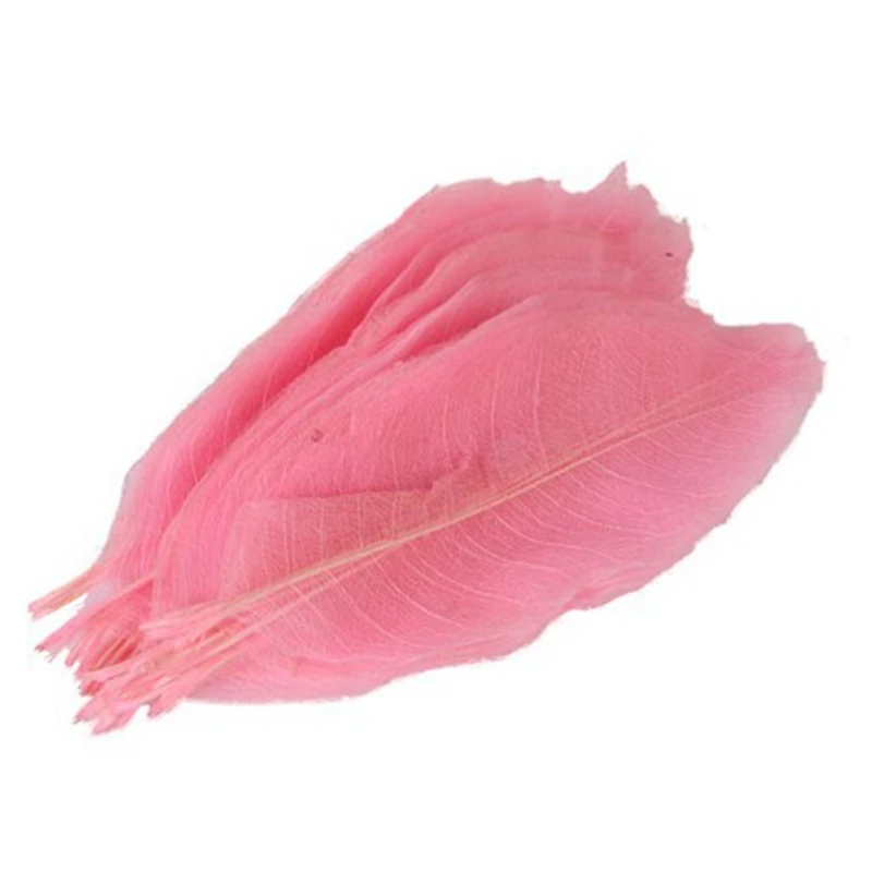 Best 50Pcs Natural Brier Leaves Card Scrapbook- Pink& 30Pcs Dyed Rooster Cock Shell Feather 4.7- 8.6 Inch Black