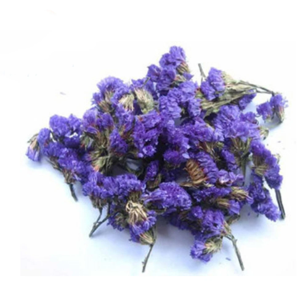 100g-free-shipping-dried-natural-flowers-natural-dried-Myosotis-Sylvatica-natural-dried-Forget-me-not-Flower (3)