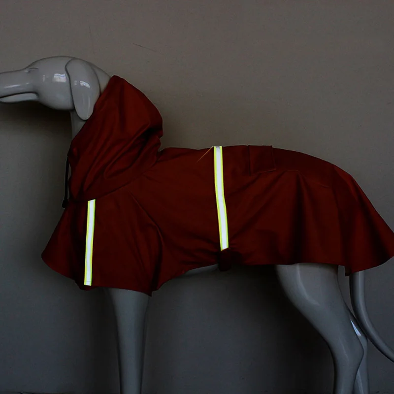 4090197582_609020808