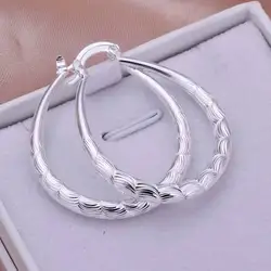 fashion For women 925 Sterling Silver wedding hook beautiful High quality Earring Jewelry free shipping cute gift