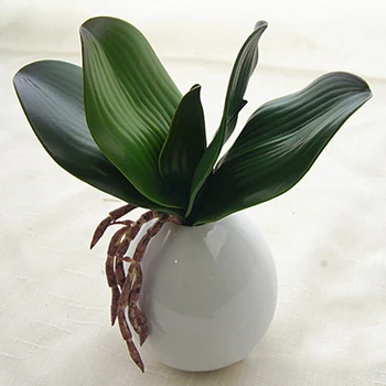 

Real Touch Phalaenopsis Leaf Artificial Plant Leaf Decorative Flowers Auxiliary Meterial Flower Decoration Orchid Leaves