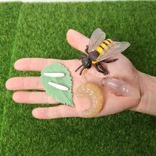 Simulação criaturas fascinantes animais de abelha modelo ciclo de vida de uma abelha mel figuras de ação brinquedos educativos em miniatura
