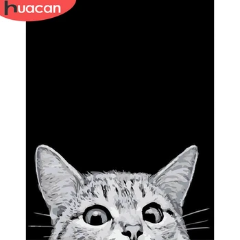 

HUACAN Painting By Number Cat DIY Pictures By Numbers Animal Kits Hand Painted Paintings Art Gift Drawing On Canvas Home Decor