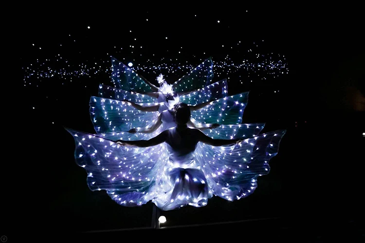 

LED luminous wings Ballet Costume Fluorescent butterfly dance Cloak Women's dance clothing