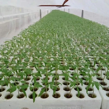 

Rockwool Plug Agricultural Hydroponic Growth Media Mini Round Tool Propagation Starter Cloning Plant Support Home Accessories