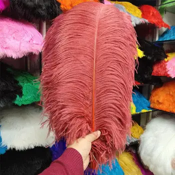 

Hot Sales 100pcs Gorgeous Wine Red 22-24inches/55-60cm DIY jewelry Christmas Halloween Decoration Natural ostrich feathers