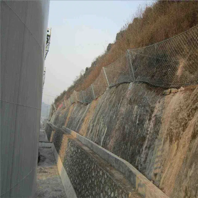 Manufacturers Sale Slope Protect Mountain Safe Net Highway Railway Protective Mesh Rxi-Shape Passive Protective Net