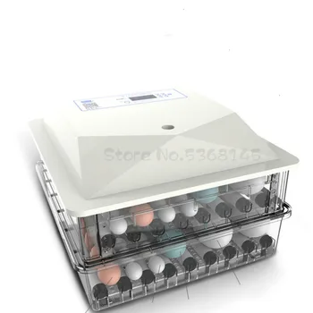

Temperature Control Automatic Egg Incubator Controller Chicken Duck Quail Bird Brooder Dual Power Supply 12V/220V Couveuse