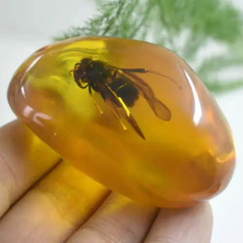 Chinese Beautiful Amber Animal Bee Fossil Insects Manual Polishing Exquisite Animal Specimens