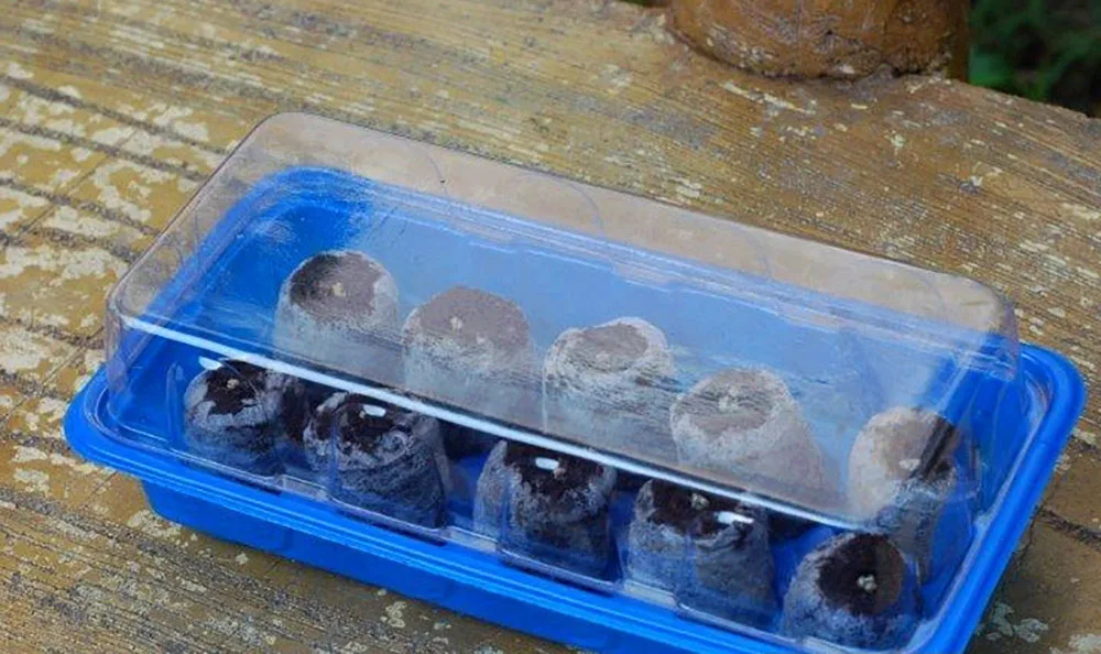 f5a5d14391b8dfc292ded070eeb55ff7