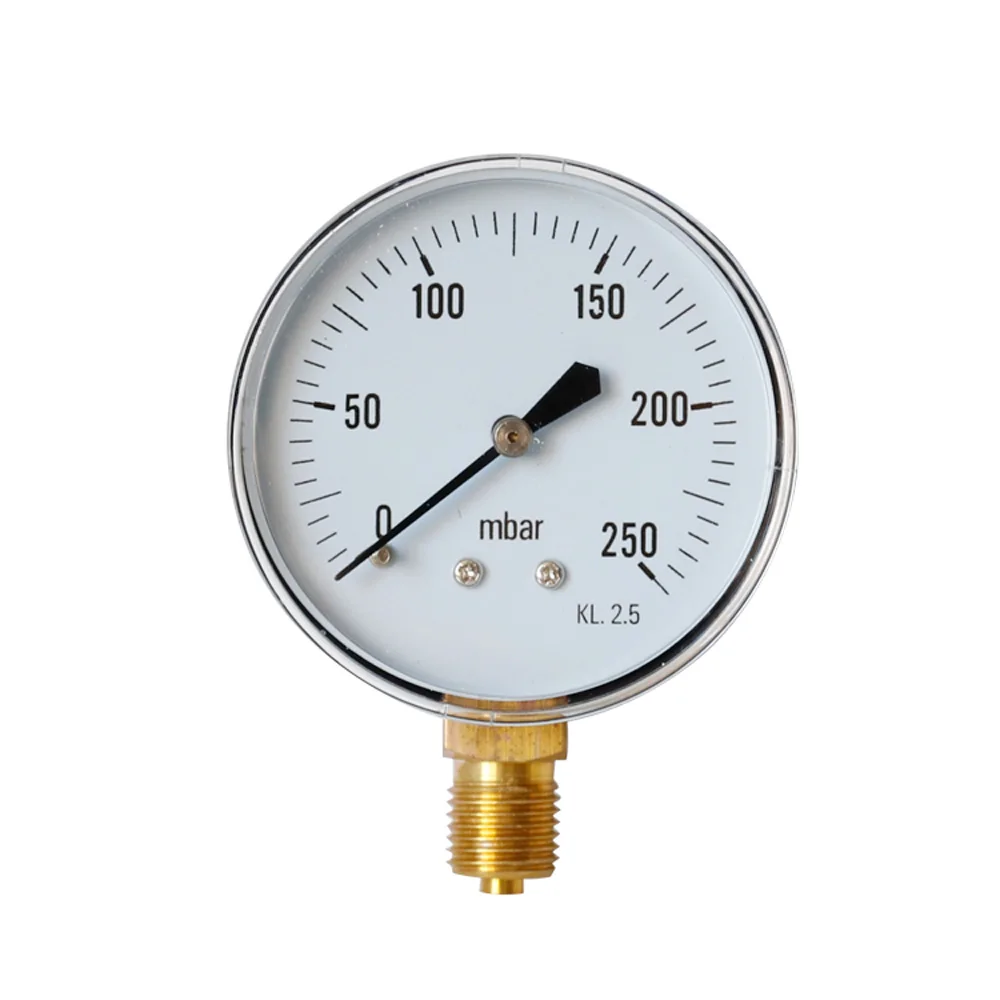 

1/4BSPT Thread Water Pressure Gauge Radial Air Gas 0/25 60 100 160 250 600 MBar