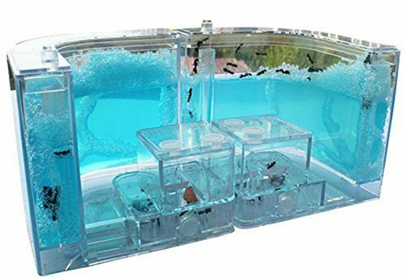 Муравьиная ферма гелевый лабиринт 3D обучающая детская игрушка для живого