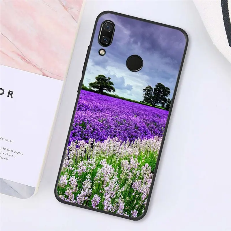 Simple lavender Purple flowers   